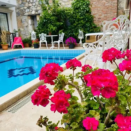 Saint John Hotell 3*