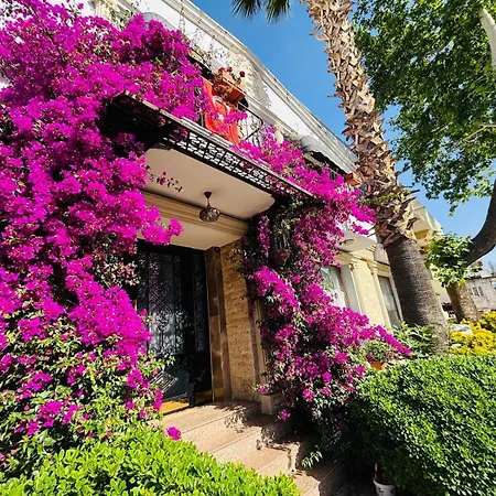 セントジョン 3*